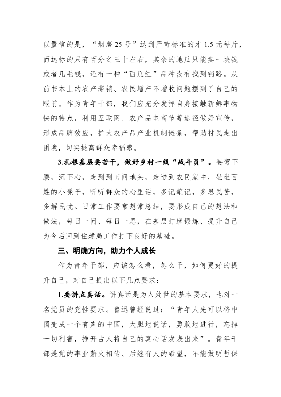 在局青年干部座谈会上的发言材料.docx,第3页预览