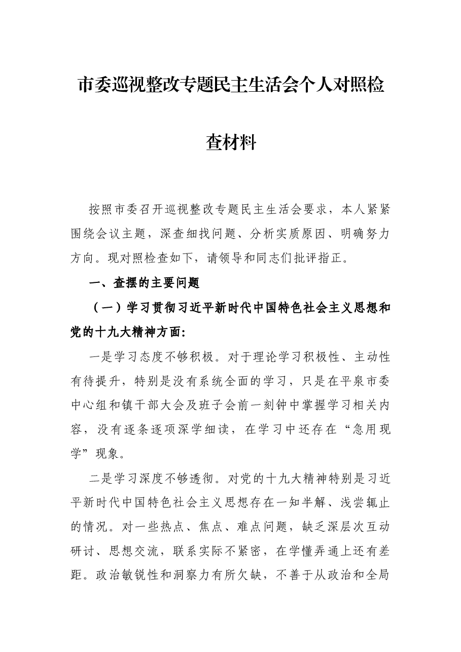 市委巡视整改专题民主生活会个人对照检查材料.docx,第1页预览