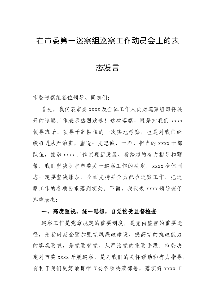 在市委第一巡察组巡察工作动员会上的表态发言.docx,第1页预览