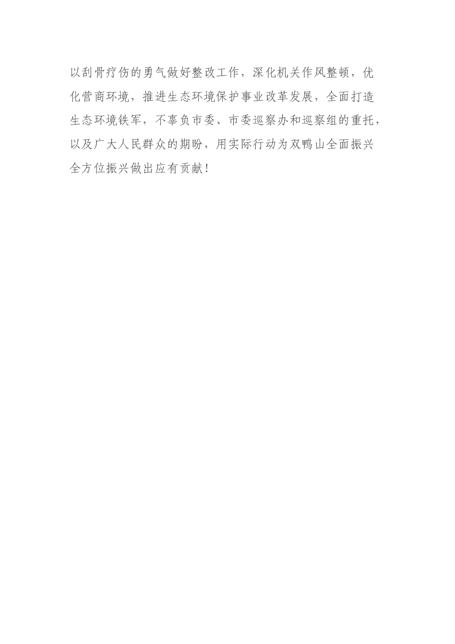 在专项巡察工作动员会议上的表态发言.docx,第3页预览