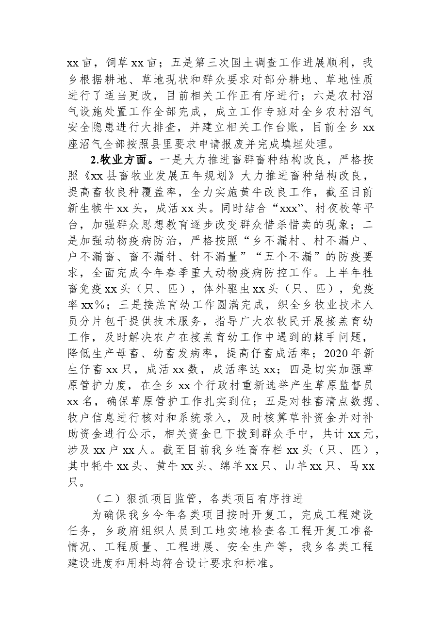 xx乡人民政府上半年工作总结暨下半年工作安排.docx，第2页预览