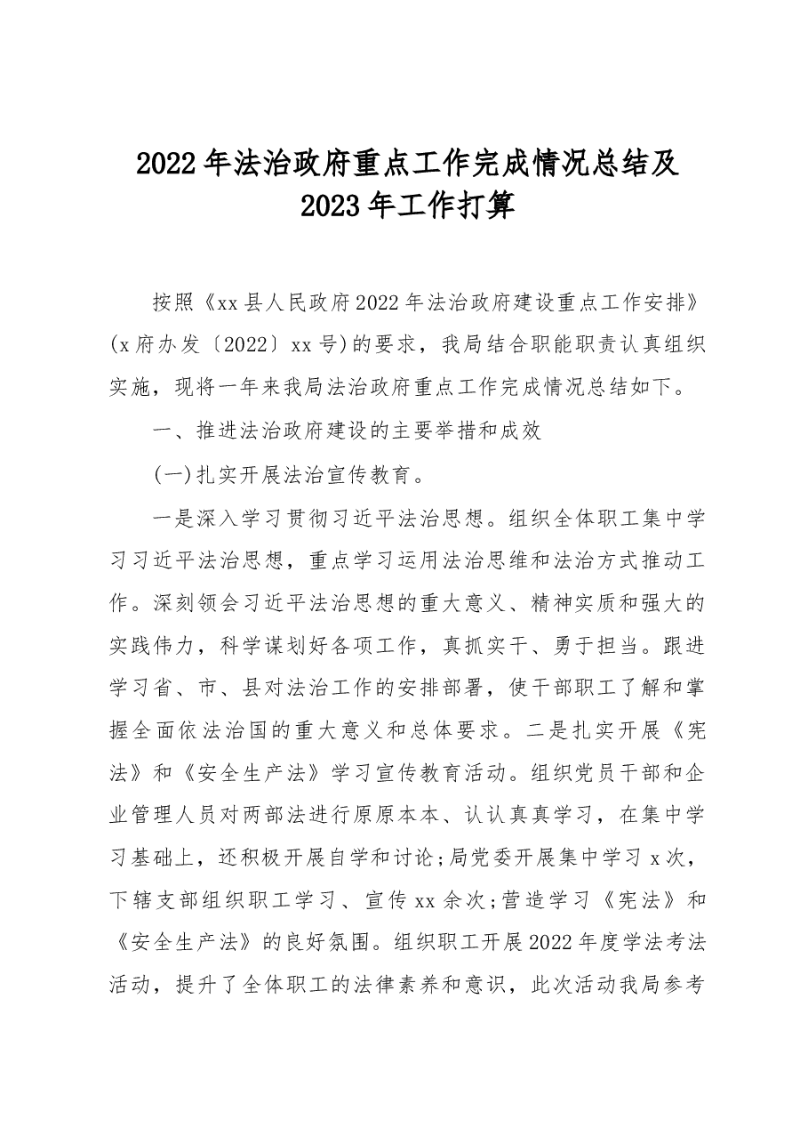 2022年法治政府重点工作完成情况总结及2023年工作打算.docx,第1页预览