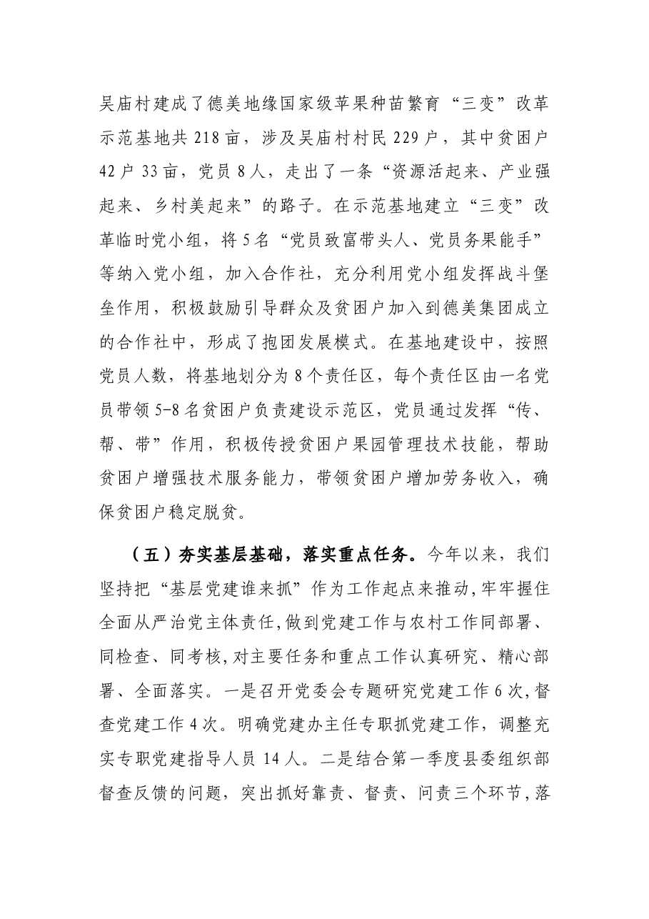 X镇党建工作总结暨党建工作计划.docx,第4页预览
