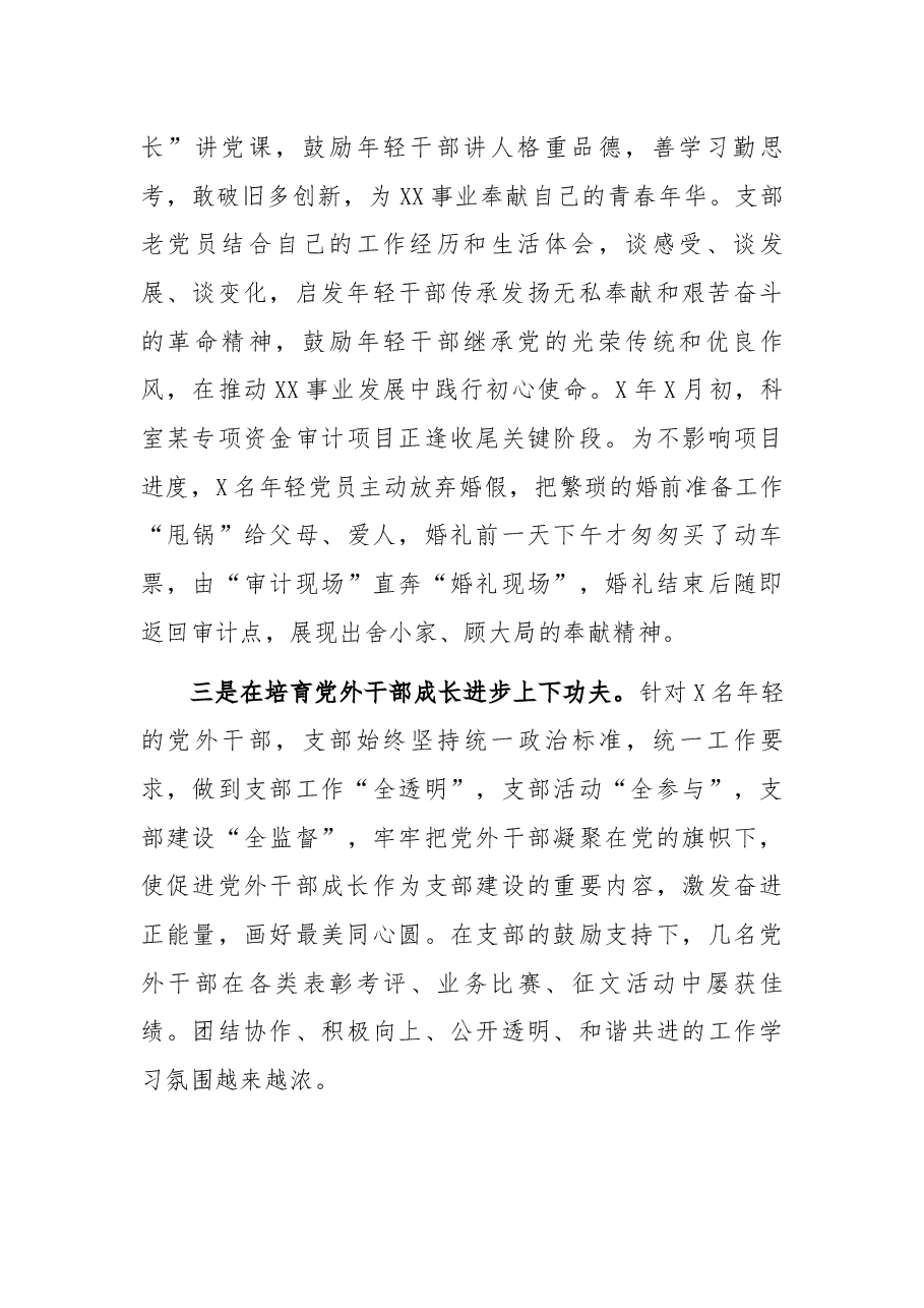 党支部干部工作总结.docx,第2页预览