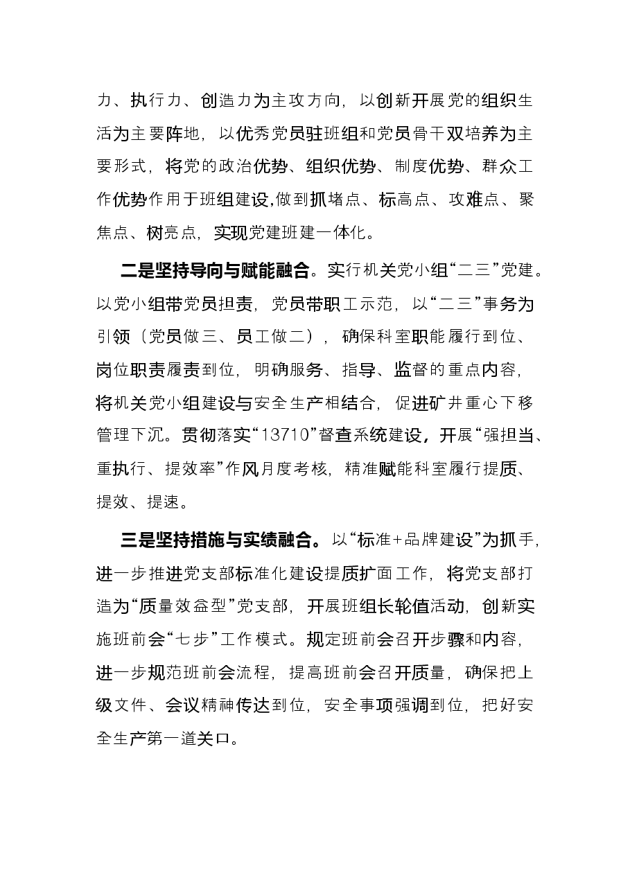 矿党委开展“大政工”格局下的融合式“大党建”工作总结.docx，第3页预览