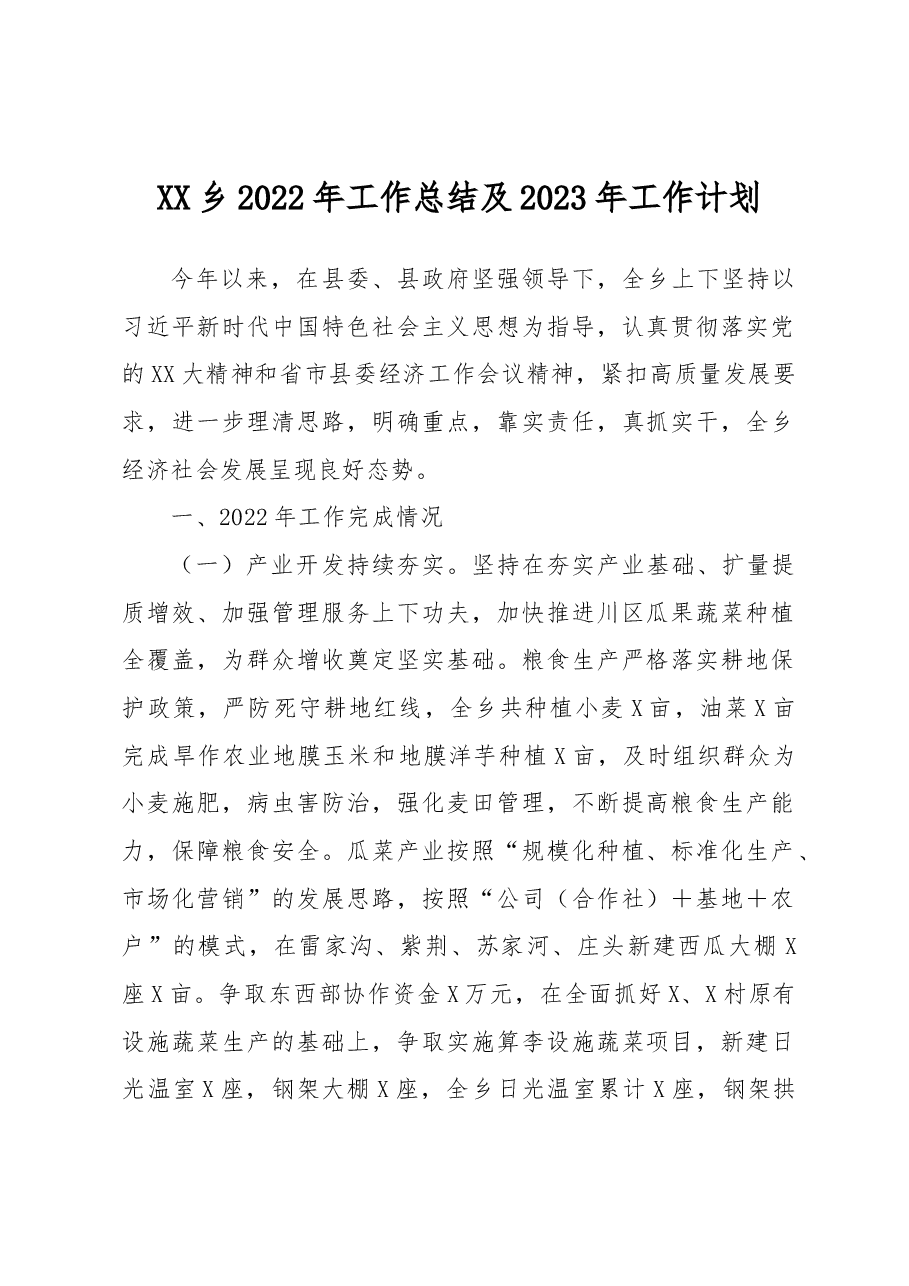 X乡2022年工作总结及2023年工作计划1.docx,第1页预览