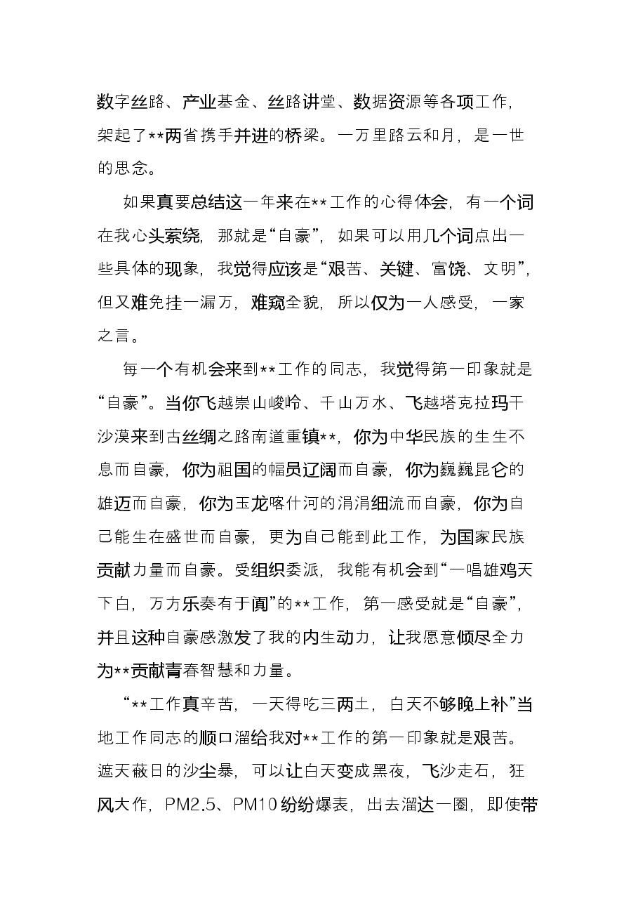 挂职工作总结.docx,第2页预览