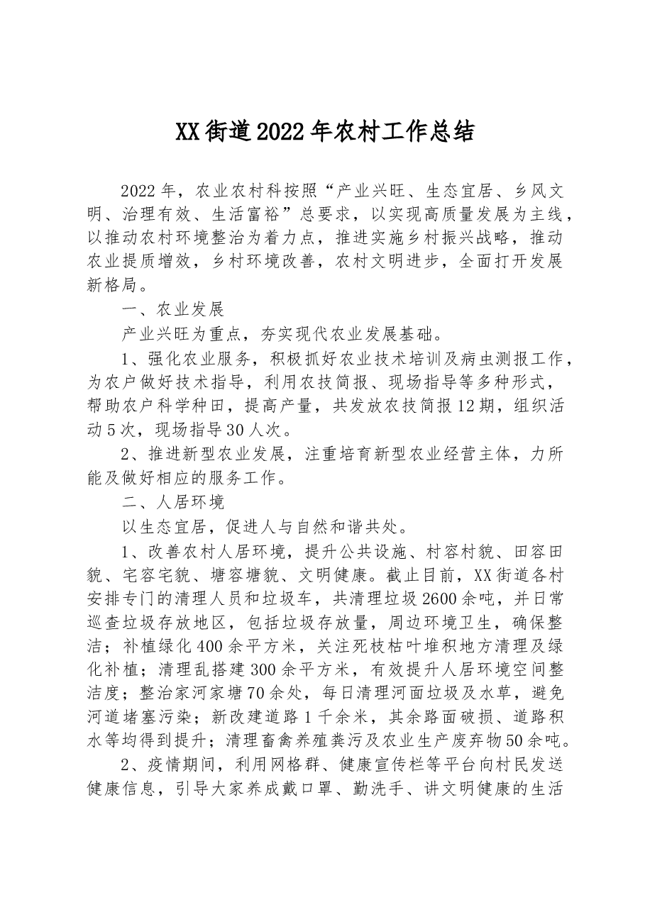 街道2022年农村工作总结.docx,第1页预览