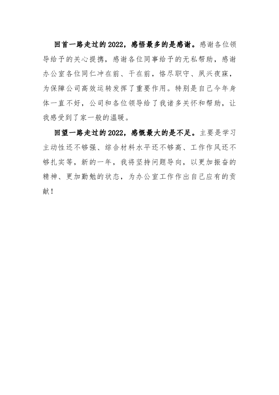 公司副职领导年终个人总结.docx,第4页预览