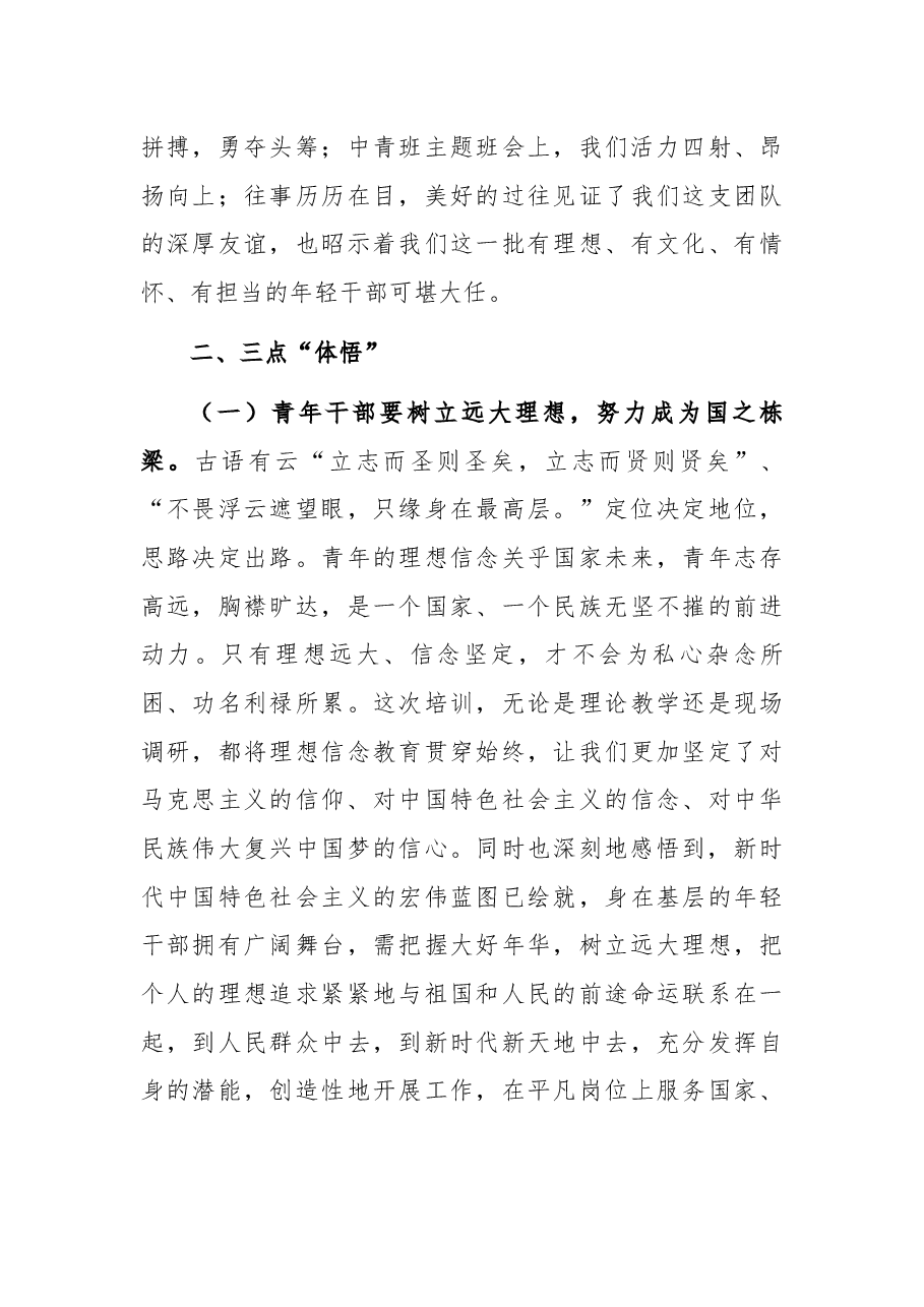 青年干部参加市委党校培训工作总结.docx,第3页预览