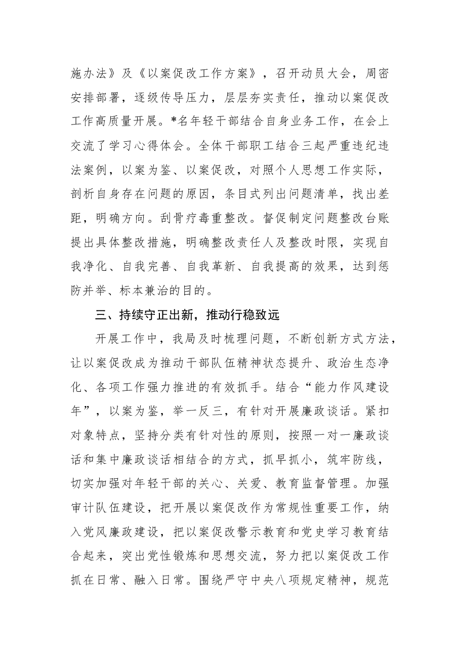 年轻干部以案促改工作总结(审计局).docx,第2页预览