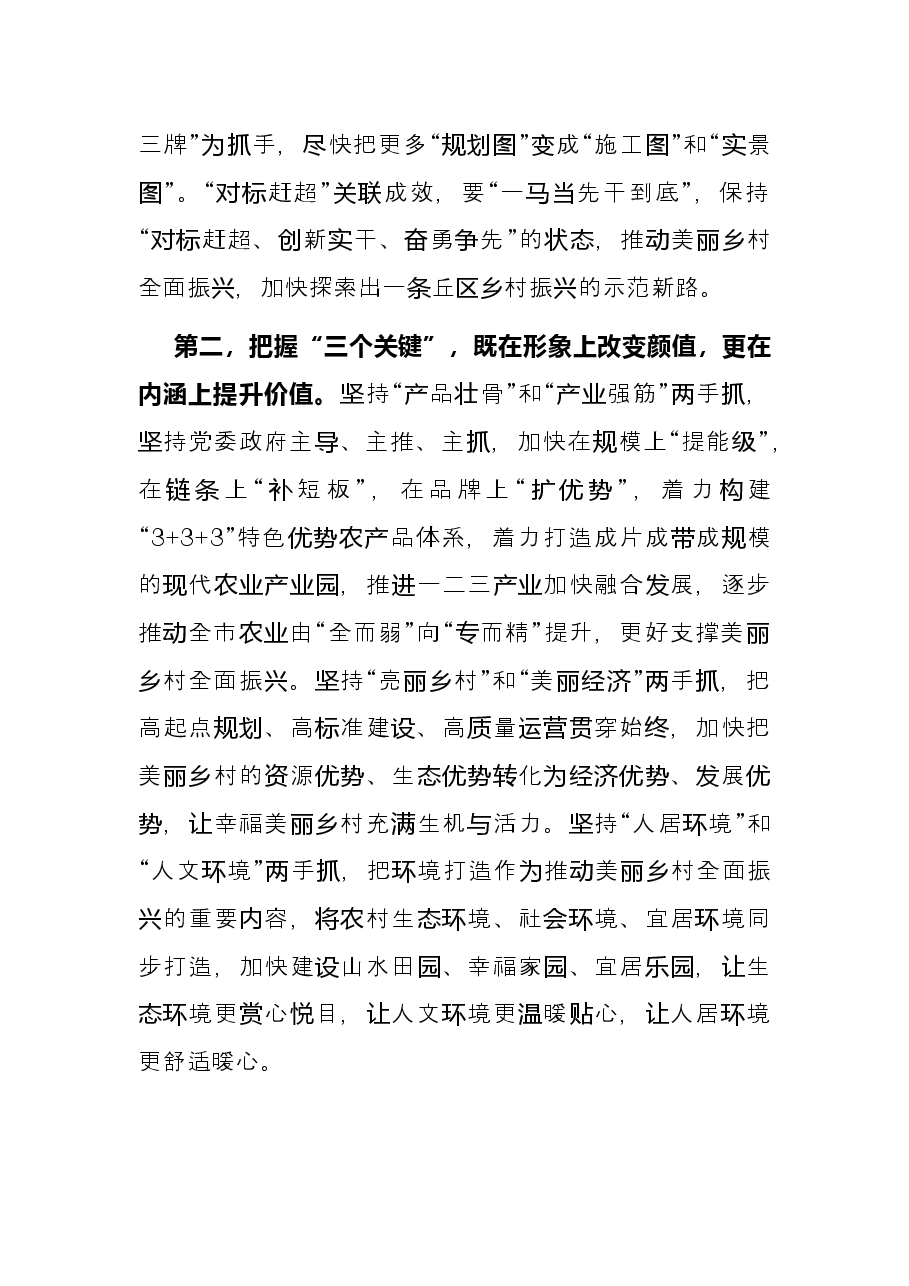 美丽乡村全面振兴工作推进会议总结讲话提纲.docx,第2页预览