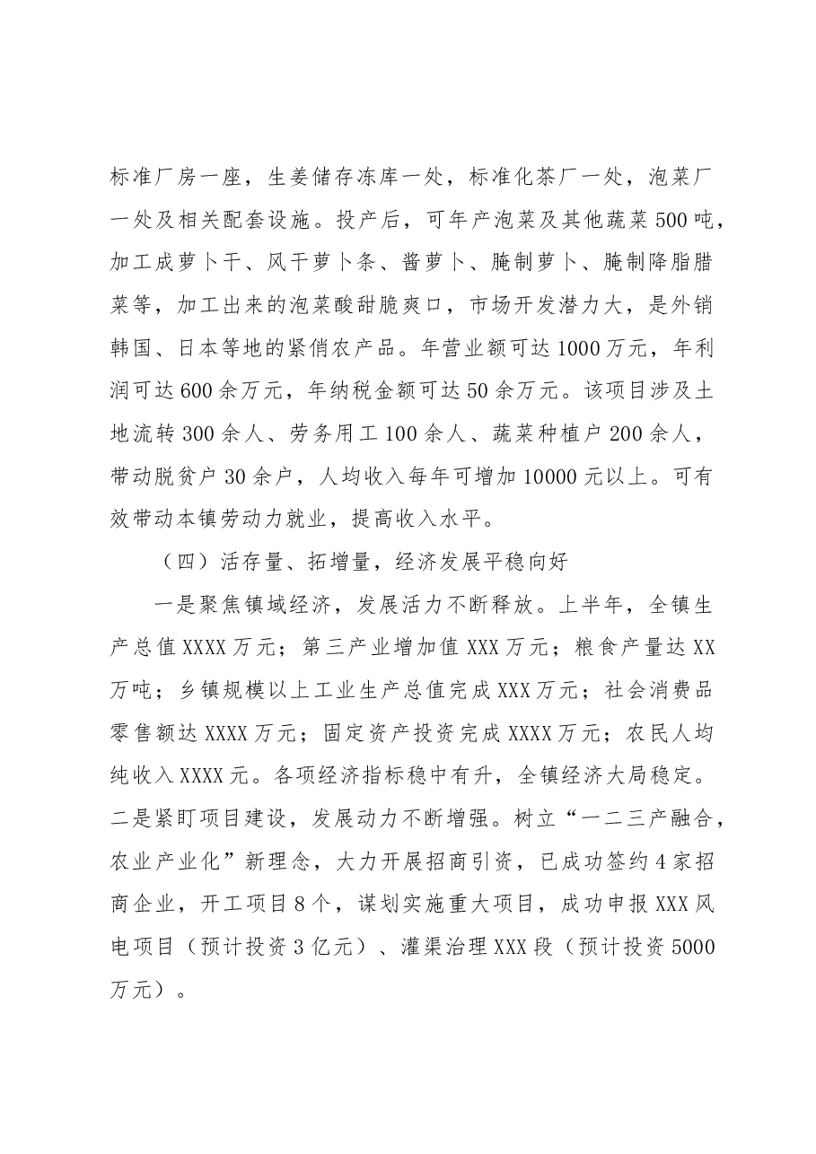 XXX镇2022年度工作总结.docx,第3页预览