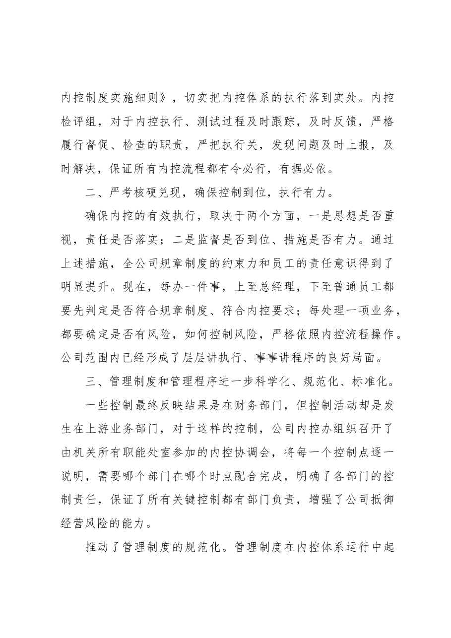 内部控制工作总结.docx，第3页预览