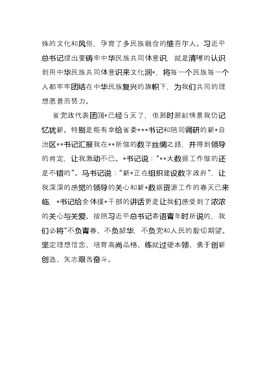 挂职工作总结.docx,第4页预览