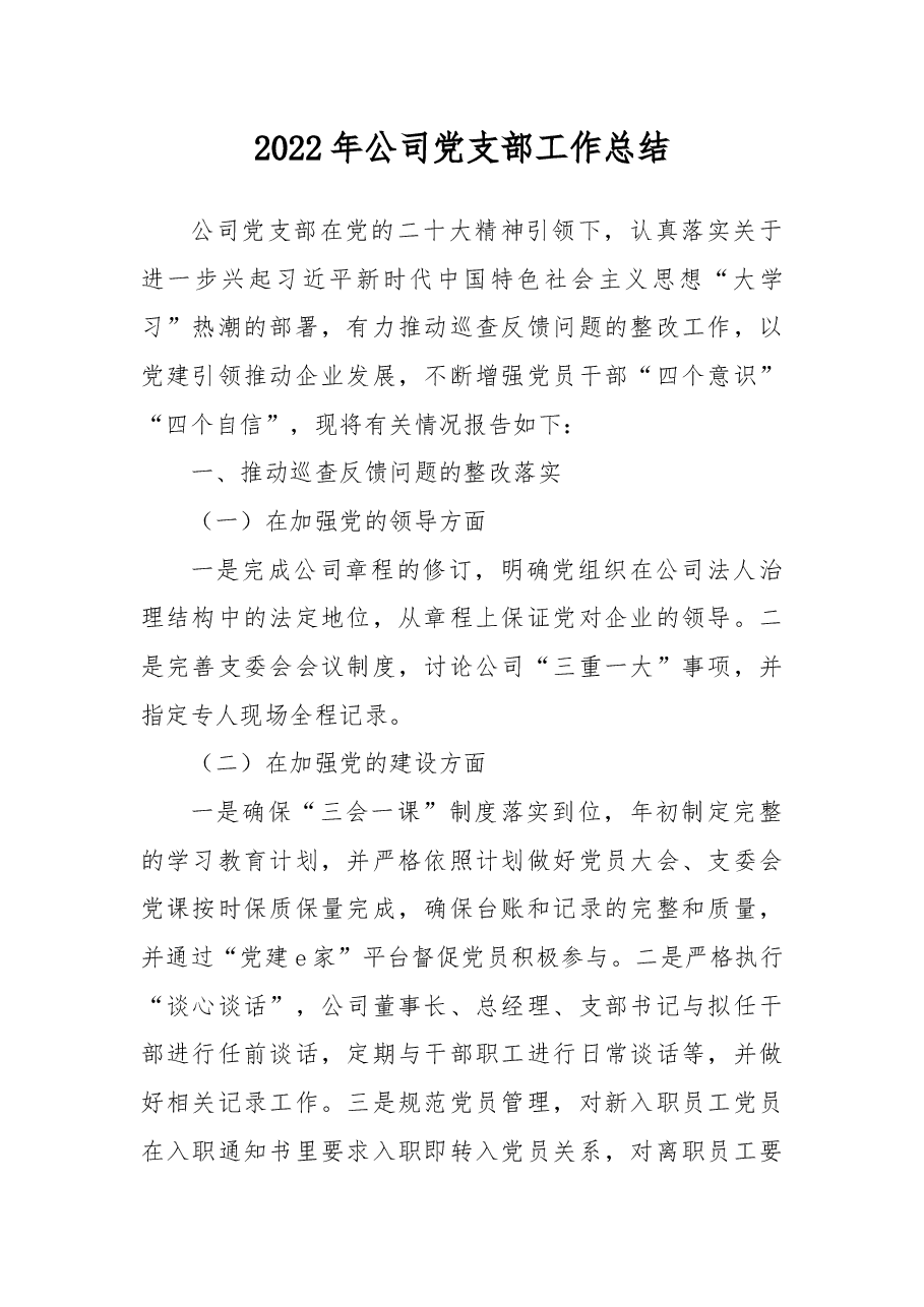 2022年公司党支部工作总结.docx，第1页预览