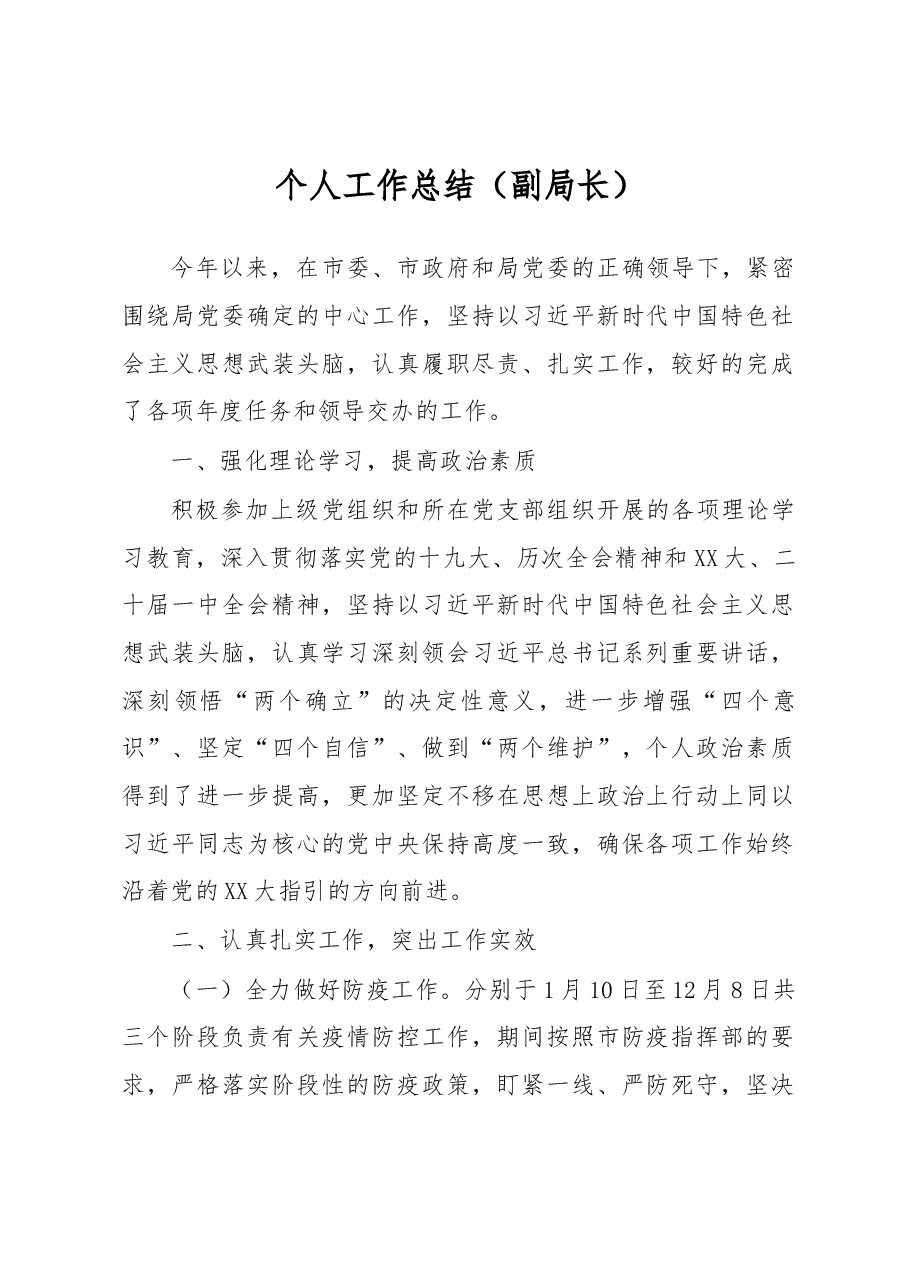 个人工作总结(副局长).docx,第1页预览