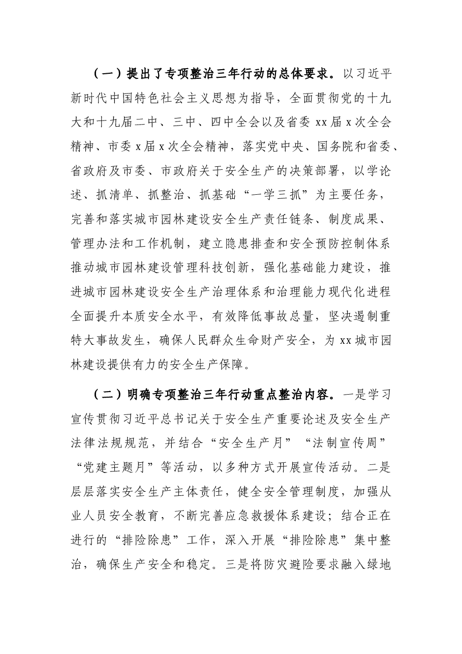 安全生产专项整治三年总结.docx,第2页预览