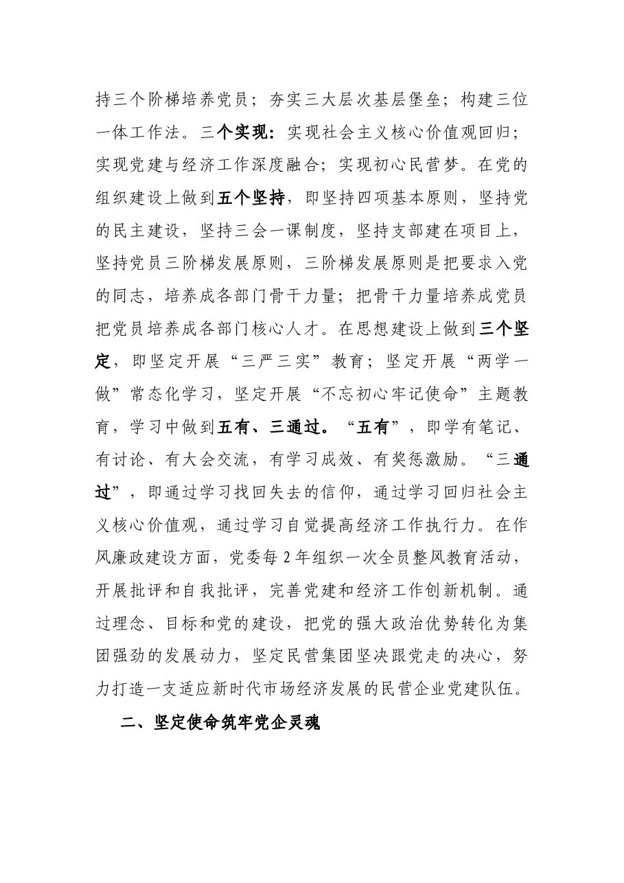 党企深度融合促进经济快速发展--民营投资集团党建工作总结.docx，第2页预览