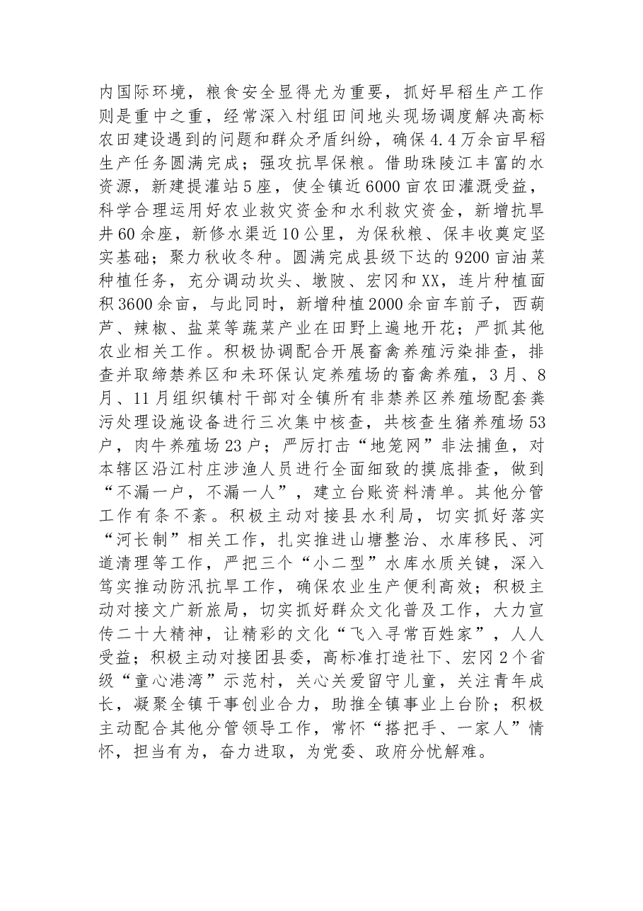 XX镇2022年巩固拓展脱贫攻坚成果和乡村振兴工作总结.docx,第2页预览