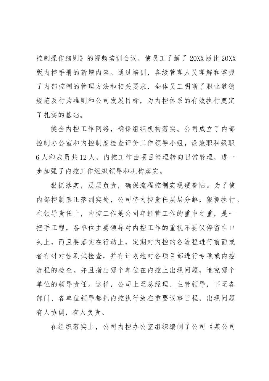 内部控制工作总结.docx，第2页预览
