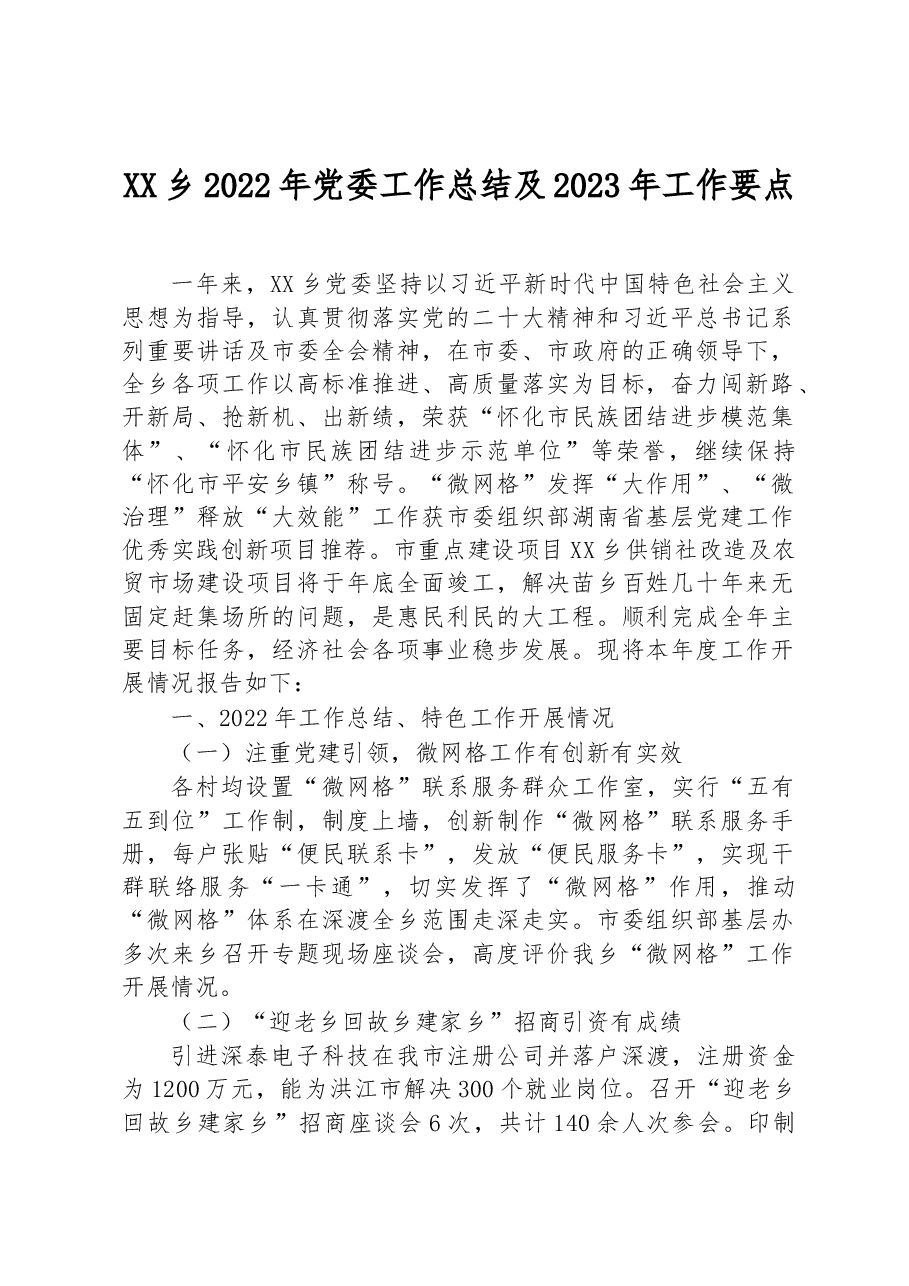 XX乡2022年党委工作总结及2023年工作要点.docx,第1页预览