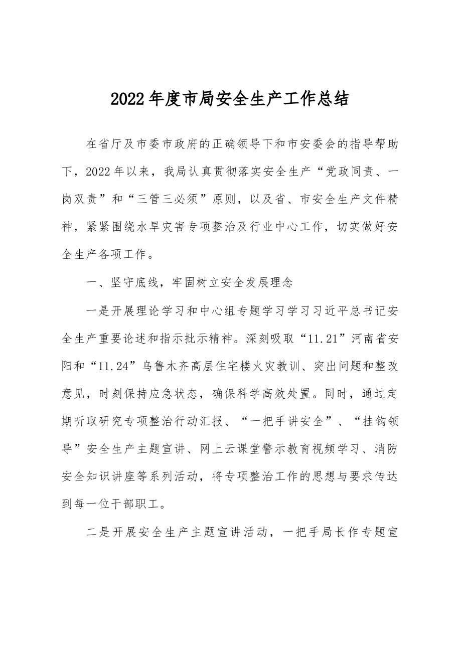 2022年度市局安全生产工作总结.docx,第1页预览