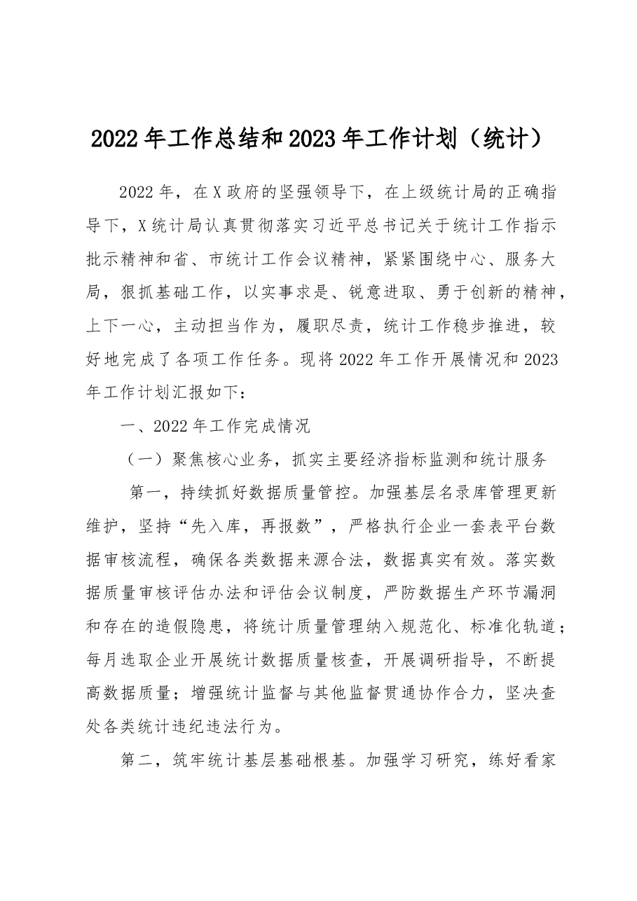 2022年工作总结和2023年工作计划(统计).docx,第1页预览