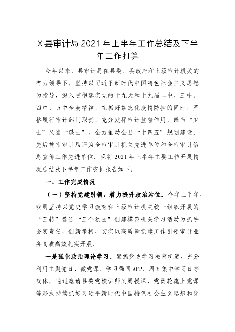X县审计局2021年上半年工作总结及下半年工作打算.docx,第1页预览