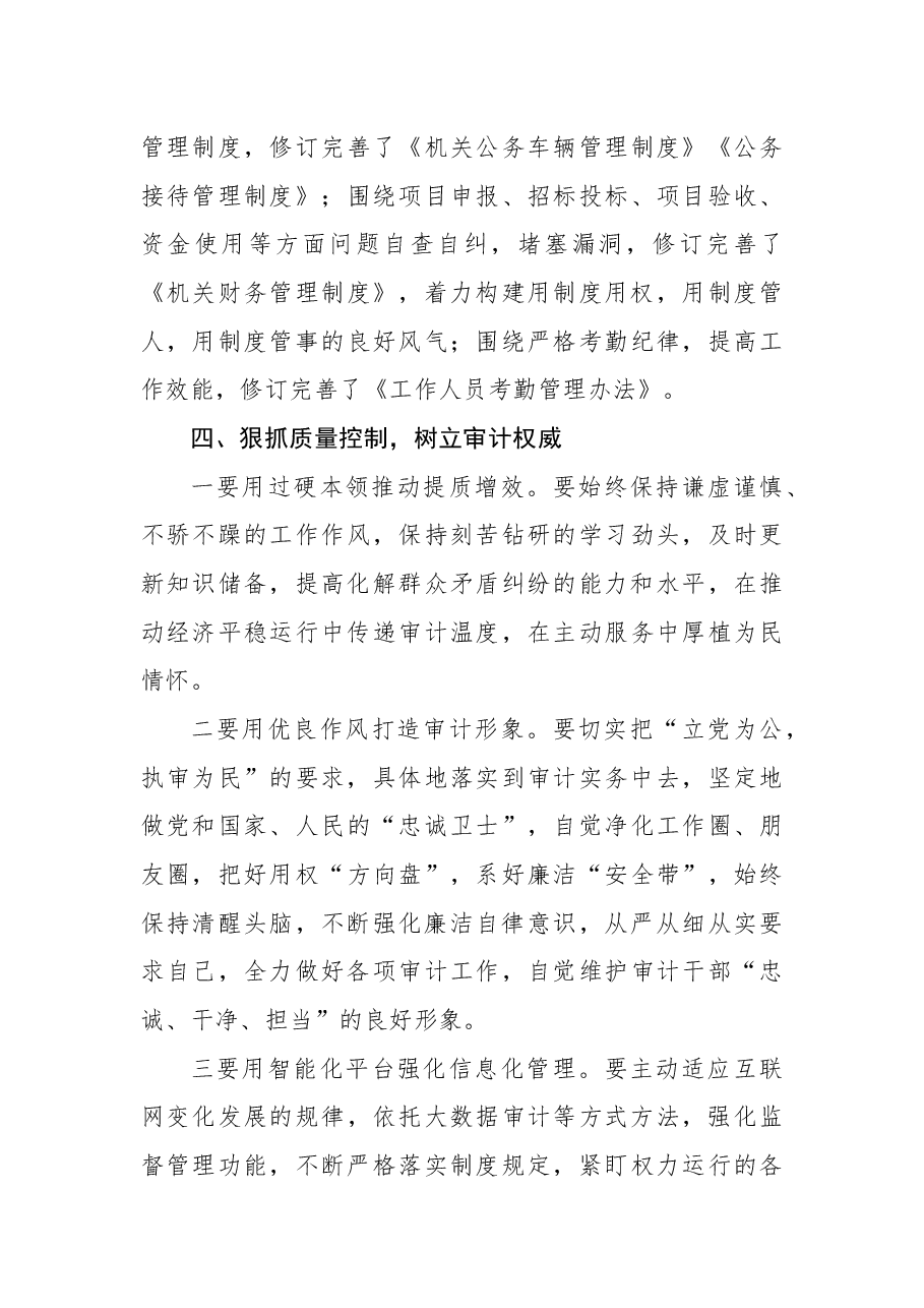 年轻干部以案促改工作总结(审计局).docx,第3页预览