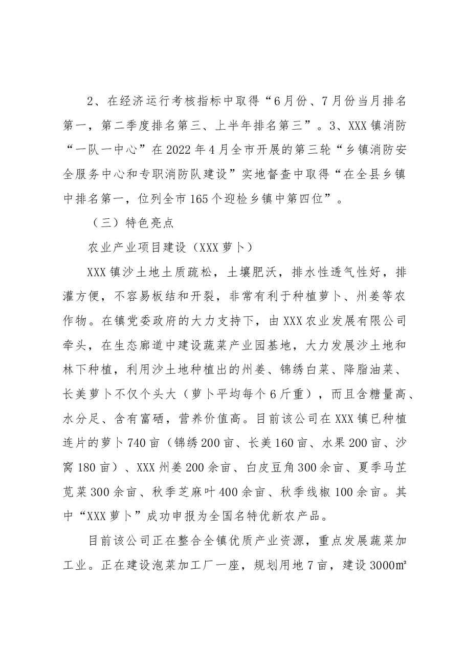 XXX镇2022年度工作总结.docx,第2页预览
