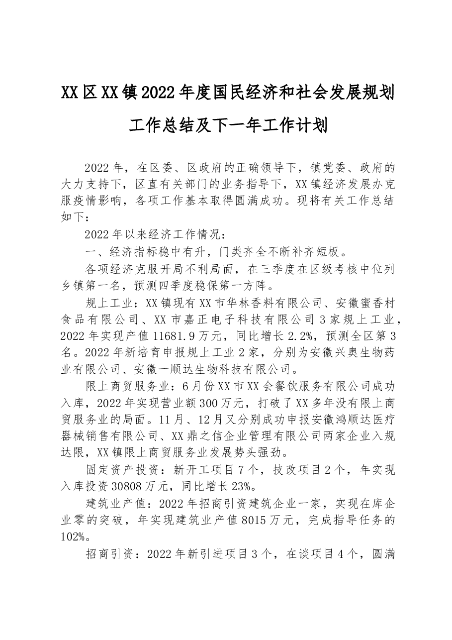 2022年度国经济和社会发展规划工作总结及下一年工作计划.docx,第1页预览