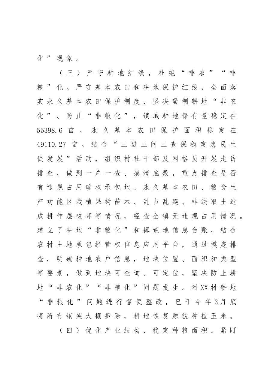 XX镇落实粮食安全责任制情况工作总结.doc,第3页预览