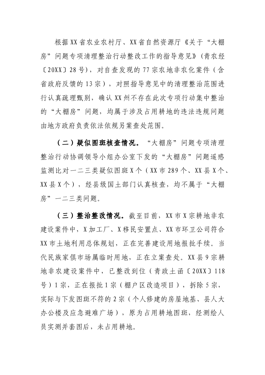 X州“大棚房”问题专项清理整治行动工作总结.docx，第3页预览