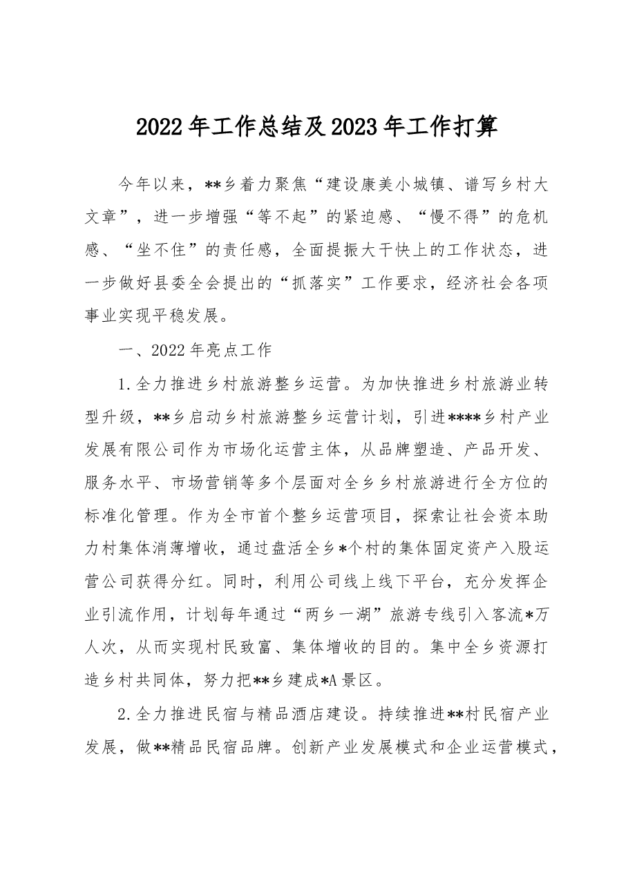 2022年工作总结及2023年工作打算.docx,第1页预览
