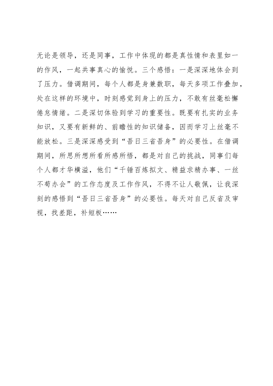 借调工作总结.docx，第2页预览
