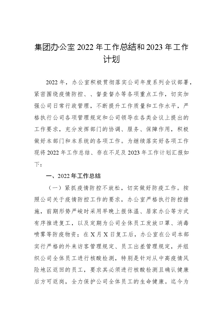 集团办公室2022年工作总结和2023年工作计划.docx,第1页预览