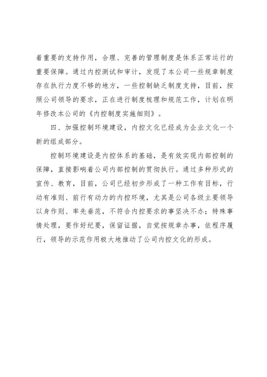 内部控制工作总结.docx，第4页预览