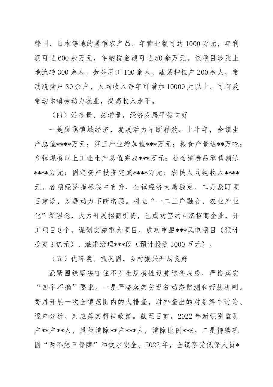 乡镇2022年度工作总结.docx,第3页预览