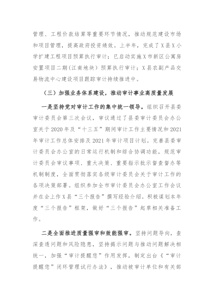县审计局2021年上半年工作总结和下半年工作思路.docx,第4页预览