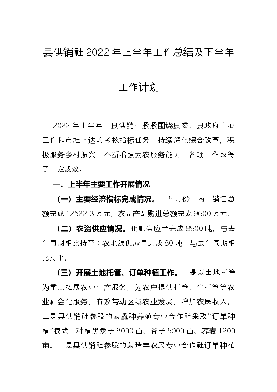 县供销社2022年上半年工作总结及下半年工作计划.docx,第1页预览
