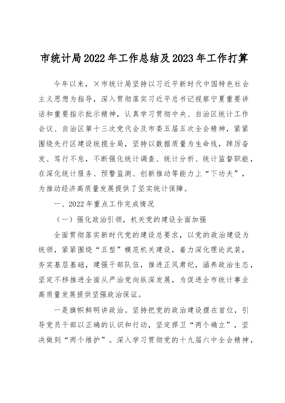 市统计局2022年工作总结及2023年工作打算.docx，第1页预览