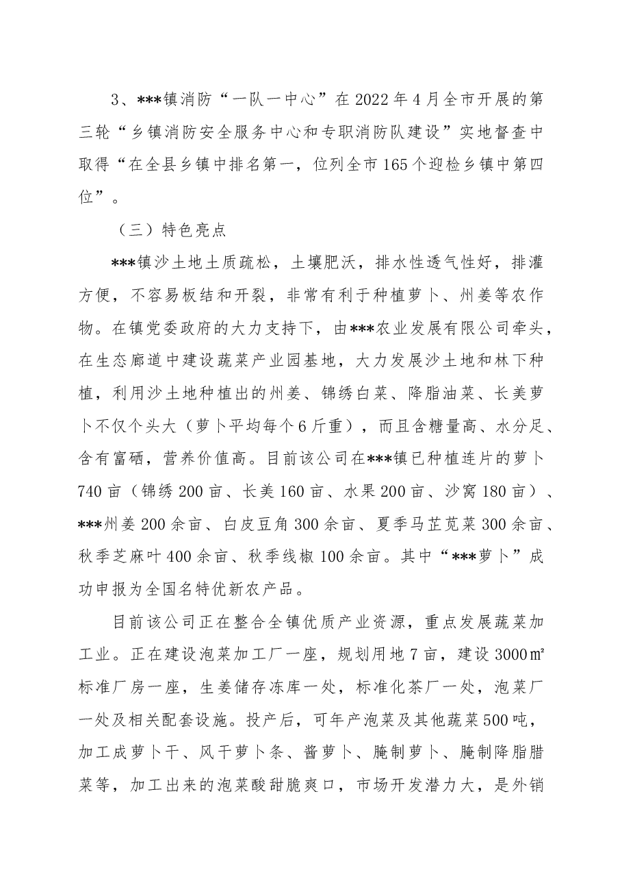 乡镇2022年度工作总结.docx,第2页预览