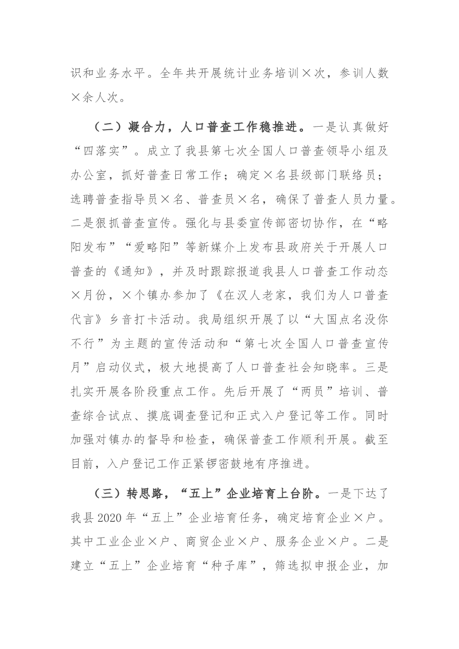 县统计局工作总结.docx,第2页预览