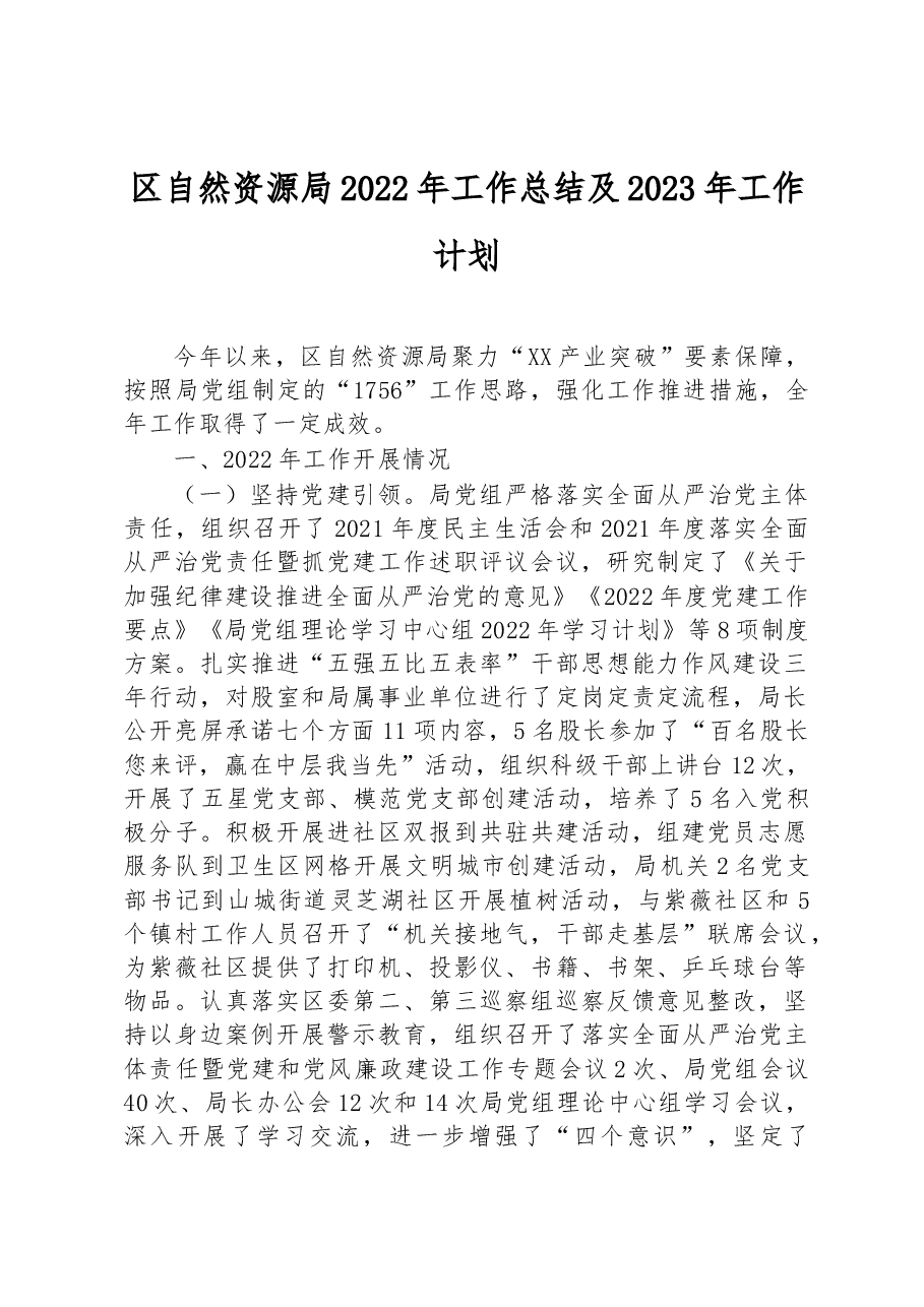 区自然资源局2022年工作总结及2023年工作计划.docx,第1页预览