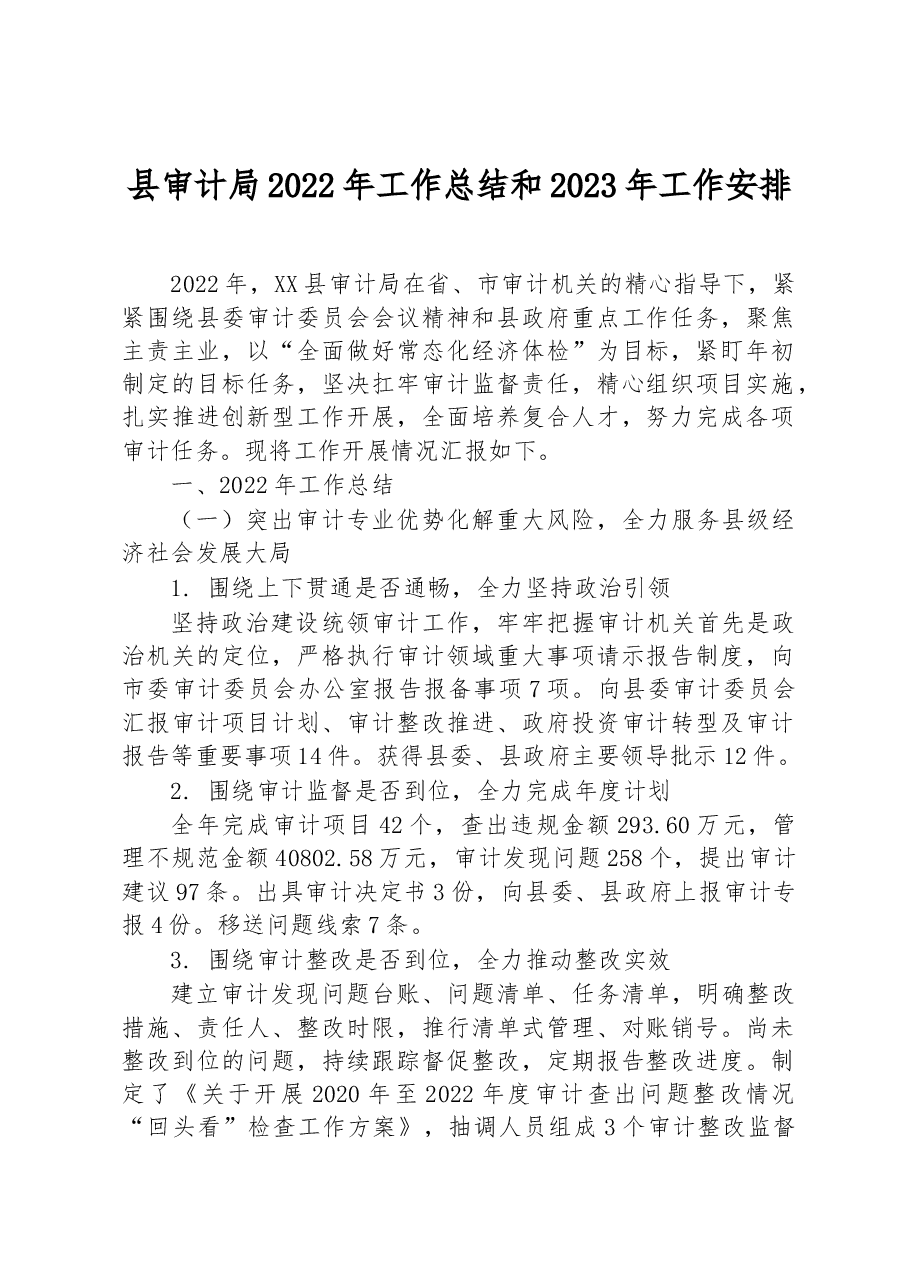 县审计局2022年工作总结和2023年工作安排.docx,第1页预览