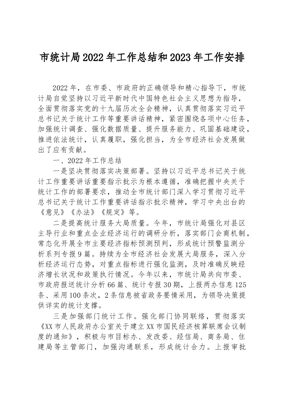 市统计局2022年工作总结和2023年工作安排.docx，第1页预览