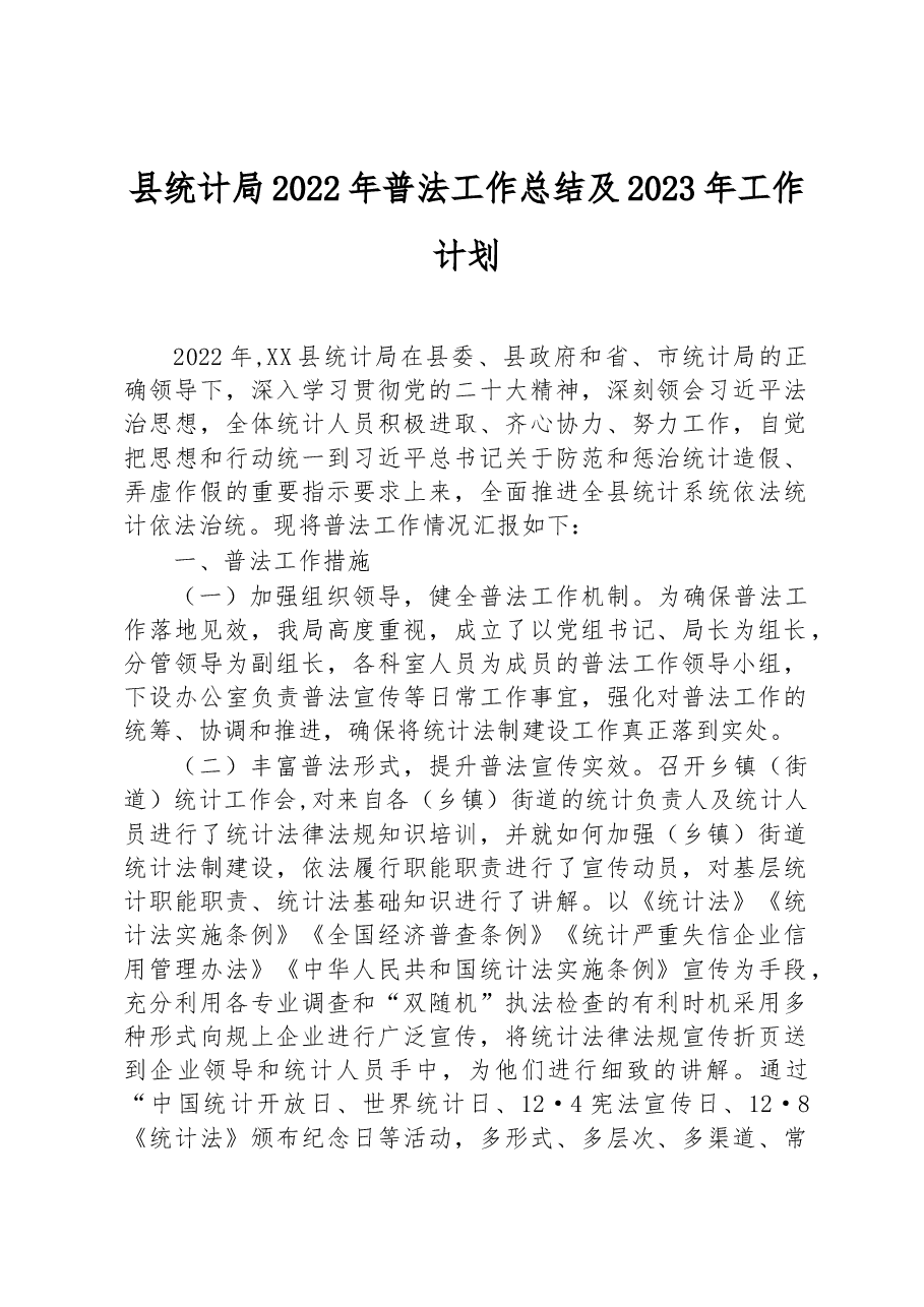 县统计局2022年普法工作总结及2023年工作计划.docx,第1页预览