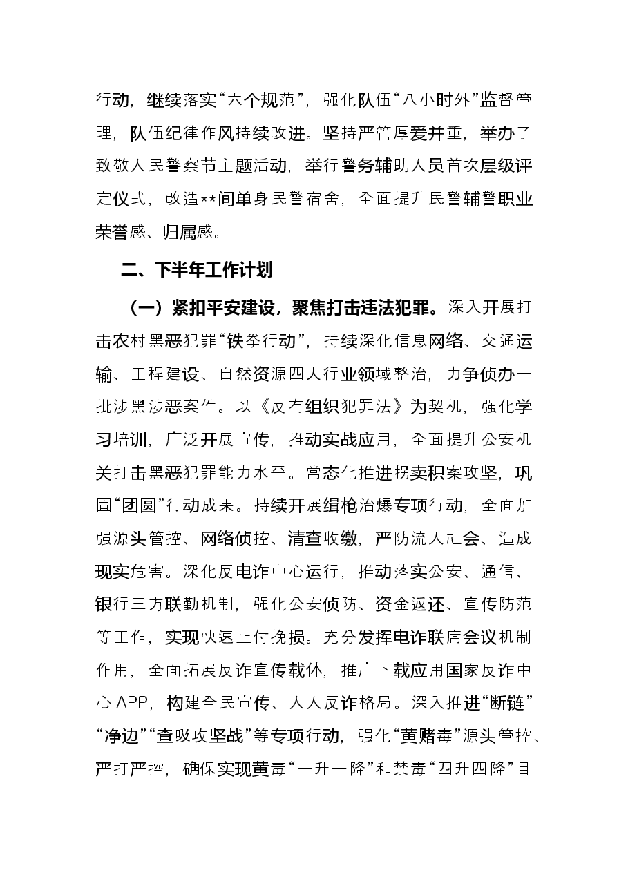 县公安局2022年上半年工作总结和下半年工作安排.docx,第3页预览