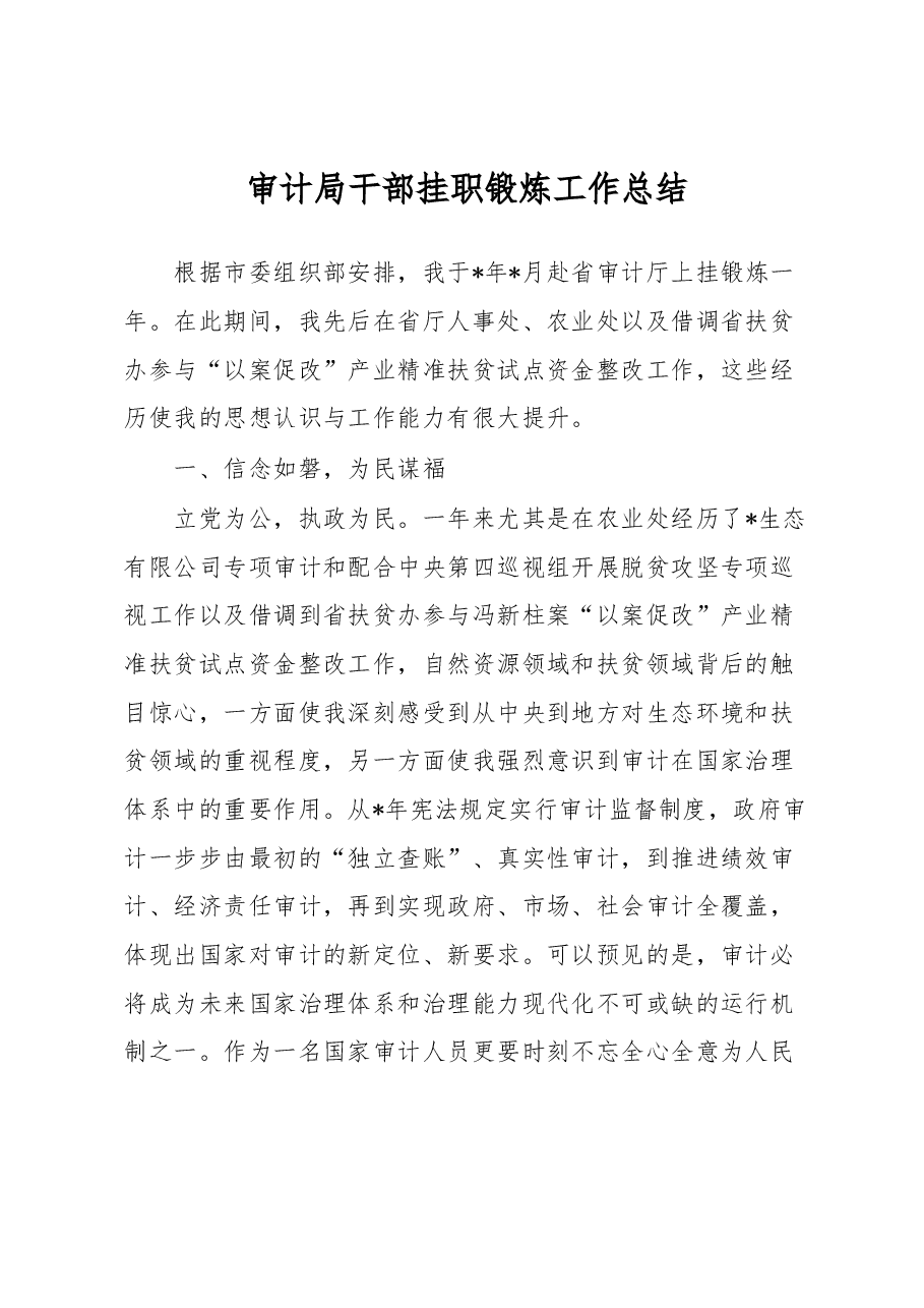 审计局干部挂职锻炼工作总结.docx,第1页预览
